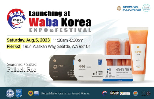 Launching at Waba Korea Festival